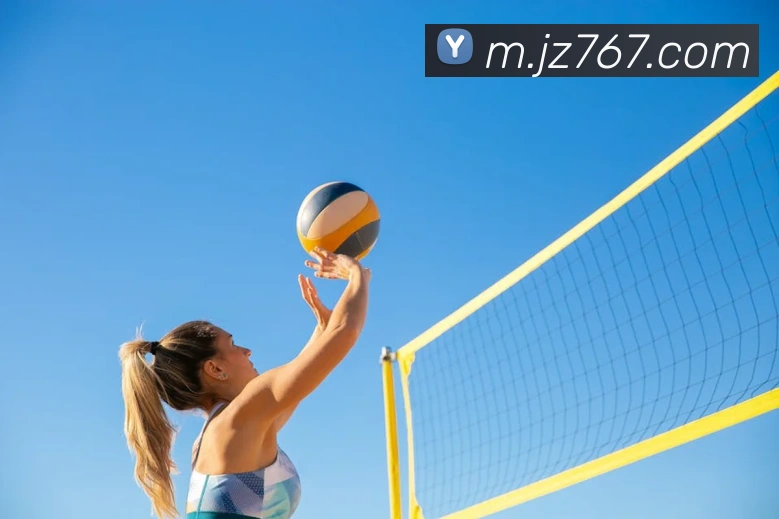 九州娱乐官网平台发展历程